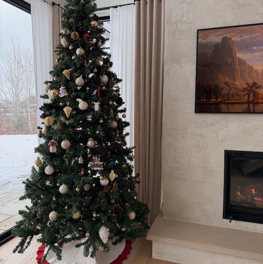 Journal d'Andréanne - Décembre 2025